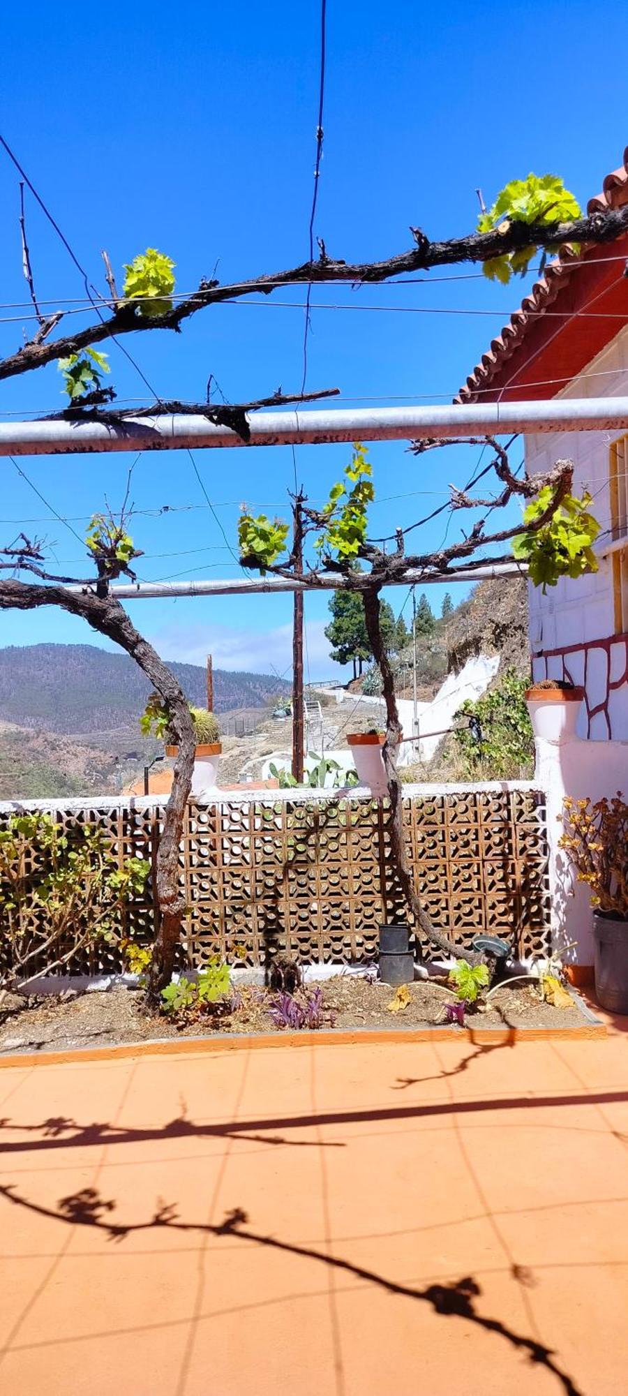 Casa Cueva Rural Trebola, Artenara Juncalillo Esterno foto